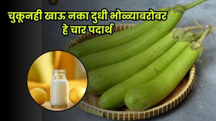 Dudhibhopla curry with 4 harmful food combinations for health