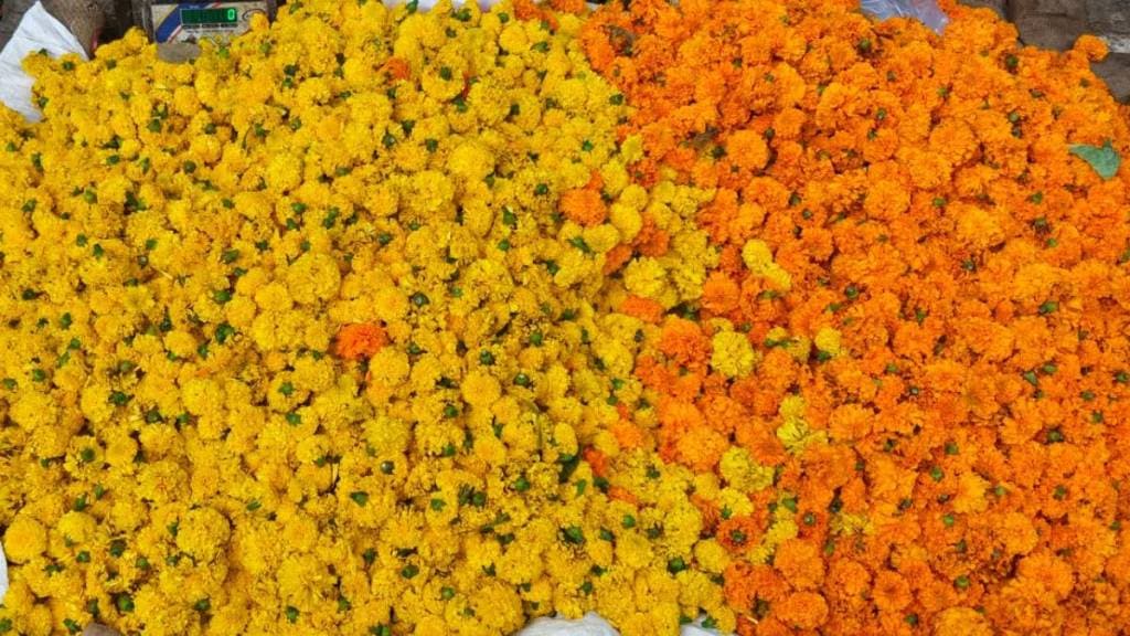Vasai Virar marigold market