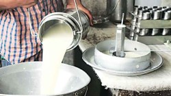 ‘दूध दरातील फरकापोटी २१ कोटी वितरीत करणार’