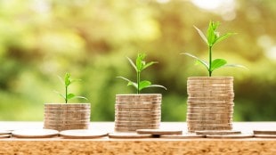 Mutual Fund Type, mutual funds India, stable mutual funds, flexible cap funds, multi-cap mutual funds,