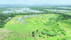 मुलुंडमधील जागा धारावीसाठीच; ५८ पैकी ४२ एकर मिठागराच्या जागेचा विकास; डीआरपी विशेष नियोजन प्राधिकरण