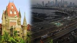 दहिसह-भाईंदर सागरी किनारा मार्ग प्रकल्प; चार हजार कांदळवनांच्या कत्तलींसाठी उच्च न्यायालयाची महत्त्वाची आत