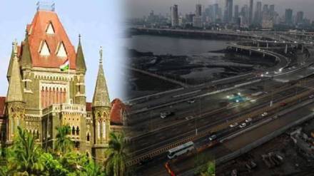 Cutting of trees for the sea route project; Court orders afforestation with maintenance