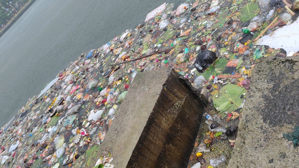 Vasai Virar Nirmala has increased pollution of lakes