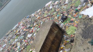 Vasai Virar Nirmala has increased pollution of lakes