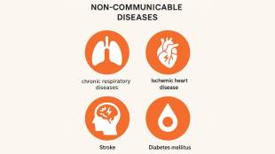 Non-communicable 'lifestyle' diseases have a greater impact in India than infectious diseases