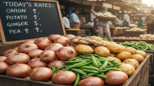 onion potato ginger peas price increase vegetable arrival decline easonal fruits wholesale market pune