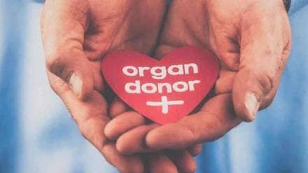 organ donation vasai news