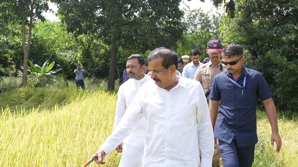 loksatta sharbaat need to shift towards sustainable and protected agriculture
