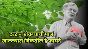 Moringa leaves on a plate, showing their health benefits for digestion, blood sugar, weight loss, and heart health.