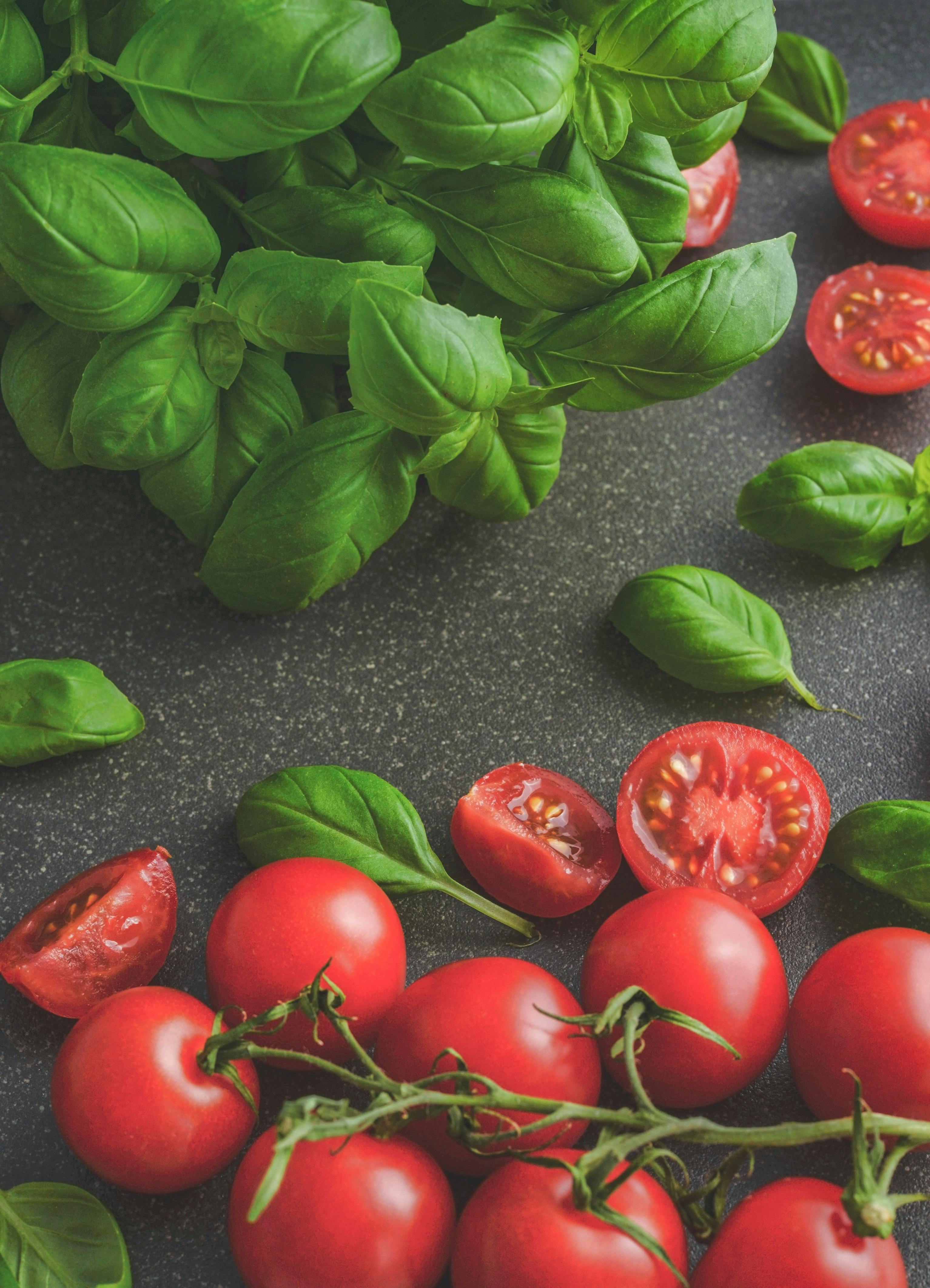 tomato history