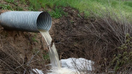wastewater treatment Maharashtra, urban water reuse policy, circular economy water management, Maharashtra municipal water recycling,