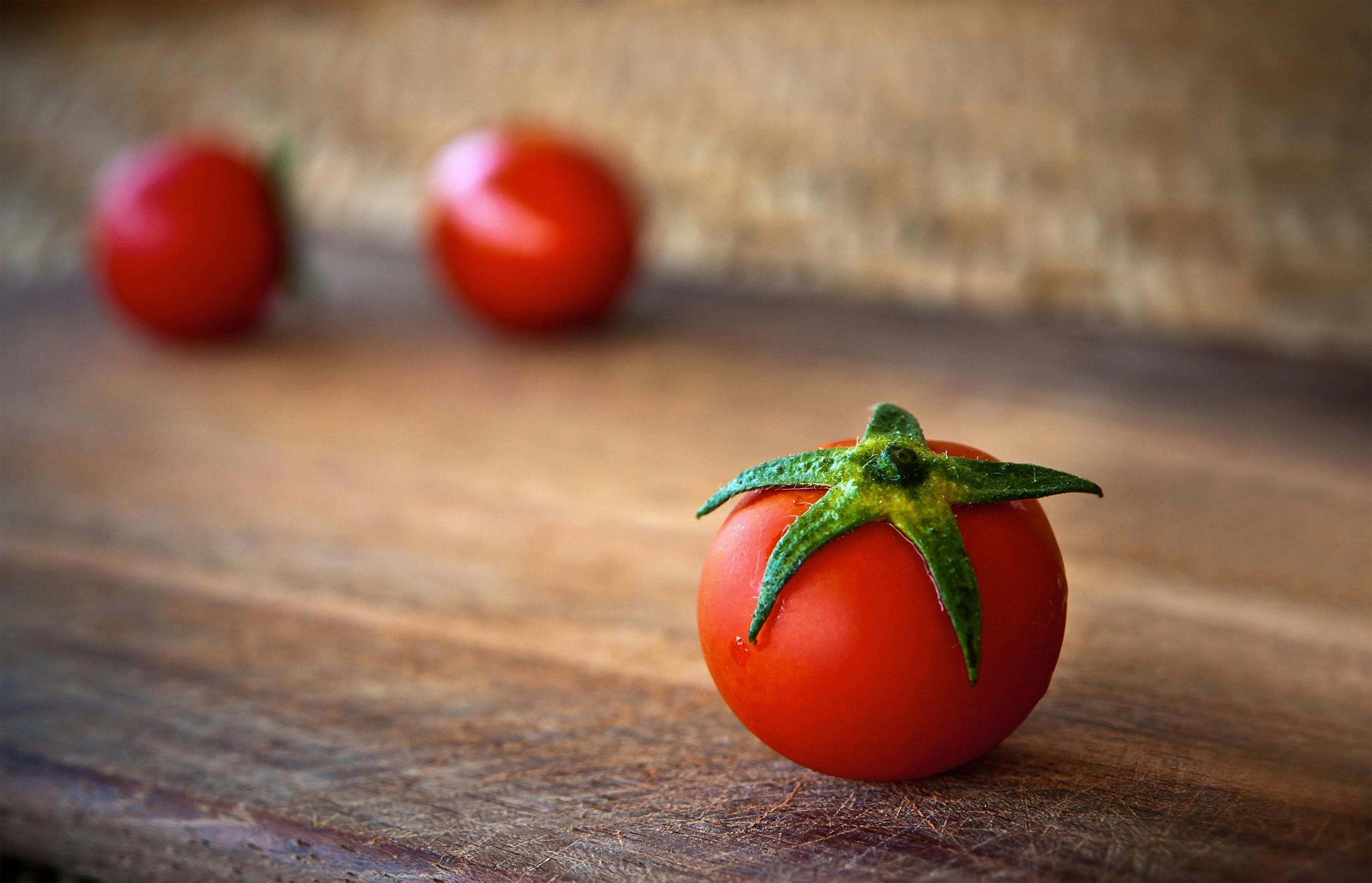 tomato history