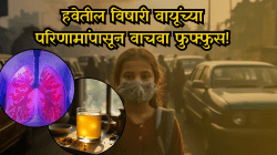 प्रदूषणात श्वास घेणं ठरू शकतं विषारी! फुफ्फुसांच्या कॅन्सरसह हृदयासाठी वाढतो धोका; धूर, धुके, विषारी वायूपासून रक्षण करतात हे ५ आयुर्वेदिक पे