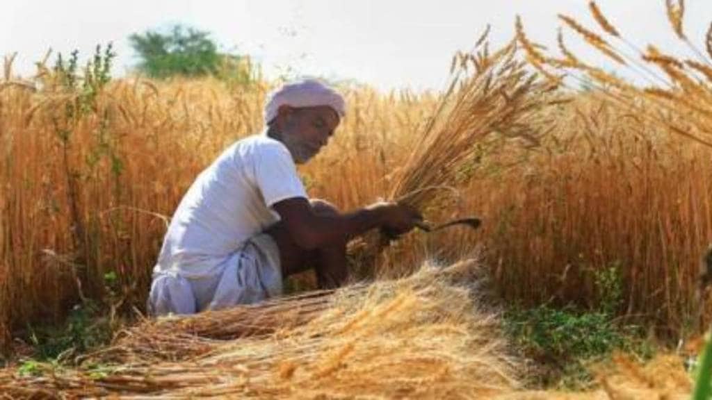 Agricultural workers will go on strike during the Rabi season mumbai print news Agricultural workers will go on strike during the Rabi season mumbai print news