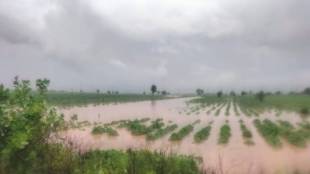 agricultural loss compensation