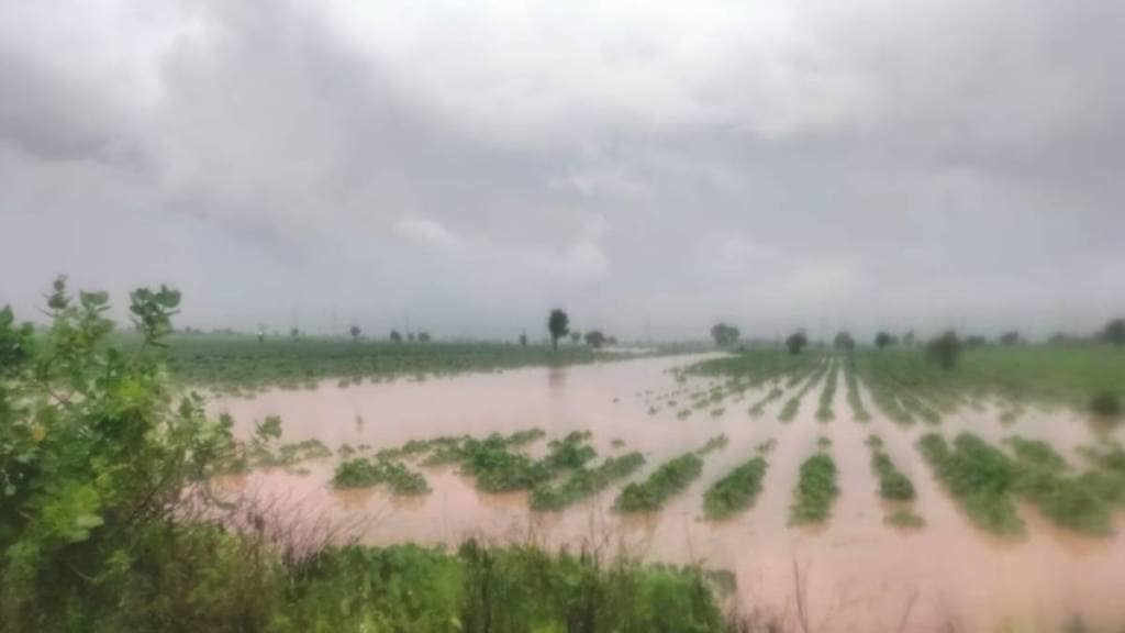 agricultural loss compensation