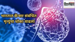 भारतात कॅन्सर संबंधित मृत्यूंचा धोका वाढला, अभ्यासात धक्कादायक माहिती उघड; मृत्युदर कसा कमी होणार? तज्ज्ञ काय सांगतात?