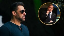 पाकिस्तानकडून अभिनेता सलमान खानचे नाव दहशतवाद्यांच्या यादीत; ‘ते’ वक्तव्य खुपले