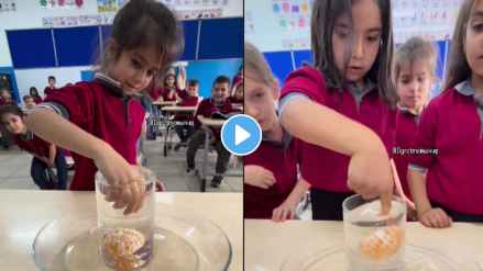 The clever classroom trick that amazed everyone! The clever classroom trick that amazed everyone!