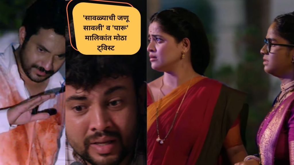 savlyachi janu savali and paaru