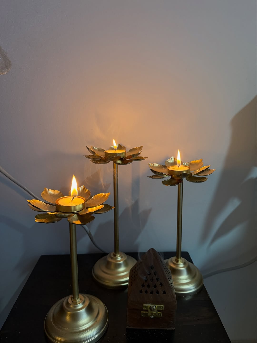 shivali parab home tour