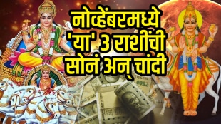November surya shukra yuti benefits to Capricorn, libra, aquarius zodiac signs get wealth, money in November horoscope