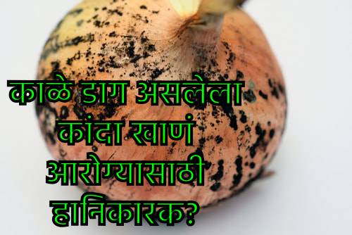 काळे डाग असलेला कांदा खाणं योग्य की अयोग्य? काळे डाग असलेला कांदा खाणं योग्य की अयोग्य?
