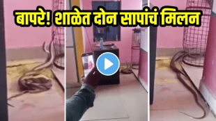 Viral Video of snakes romance in school cobras spotted in Gwalior mp shocking video viral on social media