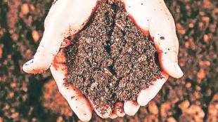 carbon compounds in soil