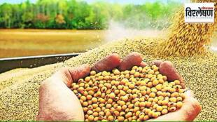 soybean prices 2025