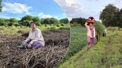 शेतकऱ्याची लेक! भर उन्हात शेतात राबतेय स्टार प्रवाहवरील लोकप्रिय अभिनेत्री; चाहत्यांकडून साधेपणाचं कौतुक