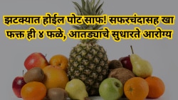 झटक्यात होईल पोट साफ! सफरचंदासह खा फक्त ही ४ फळे, आतड्याचे सुधारते आरोग्य