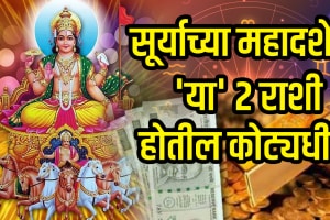 Surya mahadasha positive impact on aries and leo zodiac signs get wealth, money, success in life sun mahadasha effects on rashi