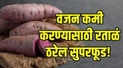वजन कमी करण्यासाठी रताळं ठरेल सुपरफूड! अशाप्रकारे करा सेवन; शरीराला होतील भरपूर फायदे