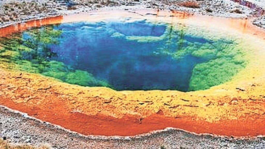 marathi article on thermophilic bacteria life in extreme heat biotechnology evolution