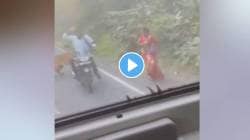 Video: मुल-चंद्रपूर मार्गावर वाघिणीची दहशत; दुचाकीवरील दाम्पत्य अक्षरश: थोडक्यात बचावले