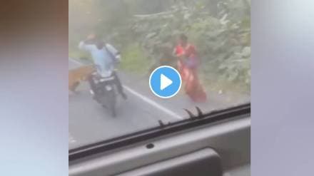 A tiger attacked a two wheeler on the Mul Chandrapur road A tiger attacked a two wheeler on the Mul Chandrapur road