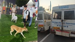 tray dogs delhi in World Para Athletics Championships