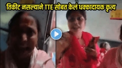 VIDEO: महिला आहे म्हणून काहीही करणार? अंगावर गरम चहा फेकला, शिवीगाळ केली अन्…, तिकीट नसल्यामुळे तिने TTE सोबत काय केलं पाहा…