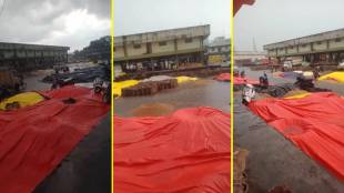 Rainwater in Wardha, Hinganghat market committees; Impact on soybean prices