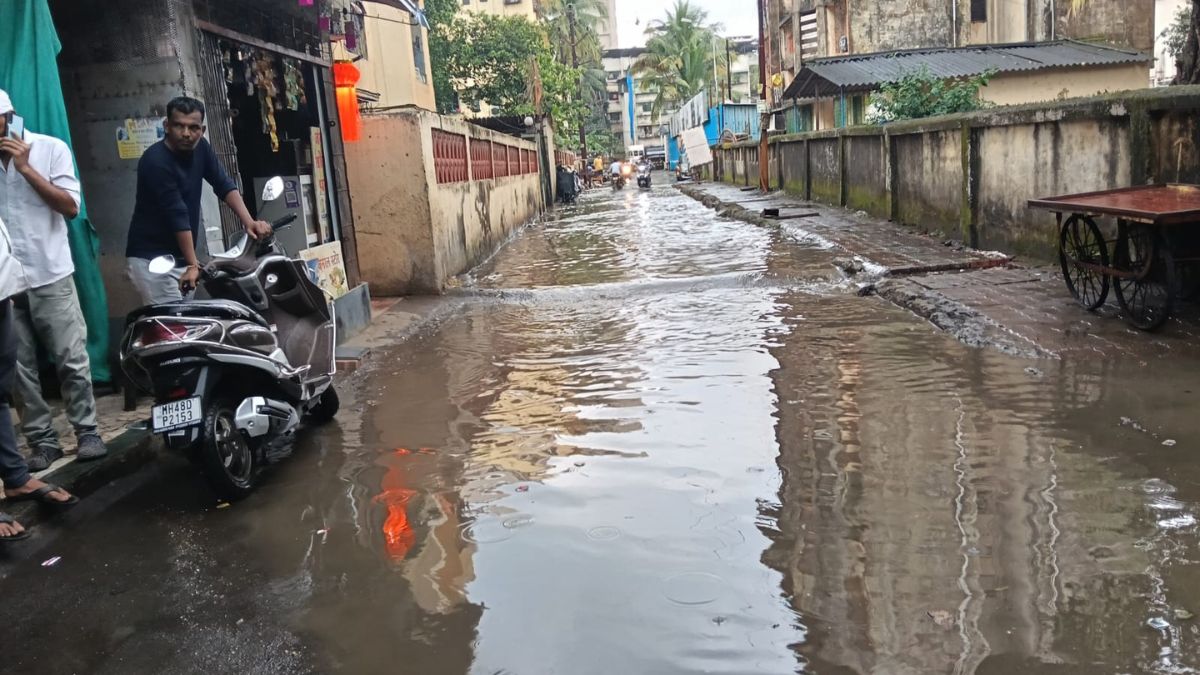 vasai virar unseasonal rain  caused waterlogging damaged paddy crops