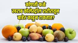 हृदयासाठी ‘ही’ फळं ठरतात अमृतासमान! खराब कोलेस्ट्रॉल शरीरातून सहज बाहेर काढतात; किती करावं सेवन बघाच?