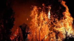 number of wildfires has increased in Maharashtra Gadchiroli has the highest number of wildfires