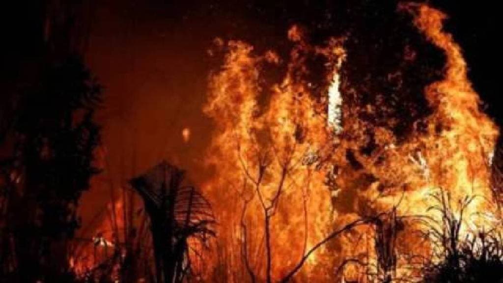 number of wildfires has increased in Maharashtra Gadchiroli has the highest number of wildfires