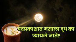 कोजागिरी पौर्णिमा २०२५: कोजागिरीला मसाला दूध का प्यायले जाते? जाणून घ्या चंद्रप्रकाशात मसाला दूध पिण्यामागील परंपरा आणि विज्ञान