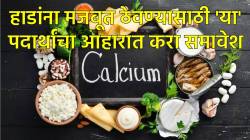 तरूण वयातच कमकुवत होत आहेत हाडे? मग ‘या’ ५ गोष्टी कॅल्शियम वाढवण्यासाठी ठरतील फायदेशीर