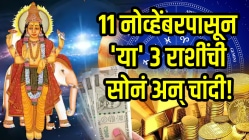११ नोव्हेंबरपासून ‘या’ ३ राशींची सोनं अन् चांदी! आयुष्यातलं संकट संपेल अन् येतील सुखाचे दिवस; धन-संपत्तीत होईल प्रचंड वाढ