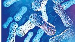 कुतूहल : त्रिमिती छपाई तंत्र!