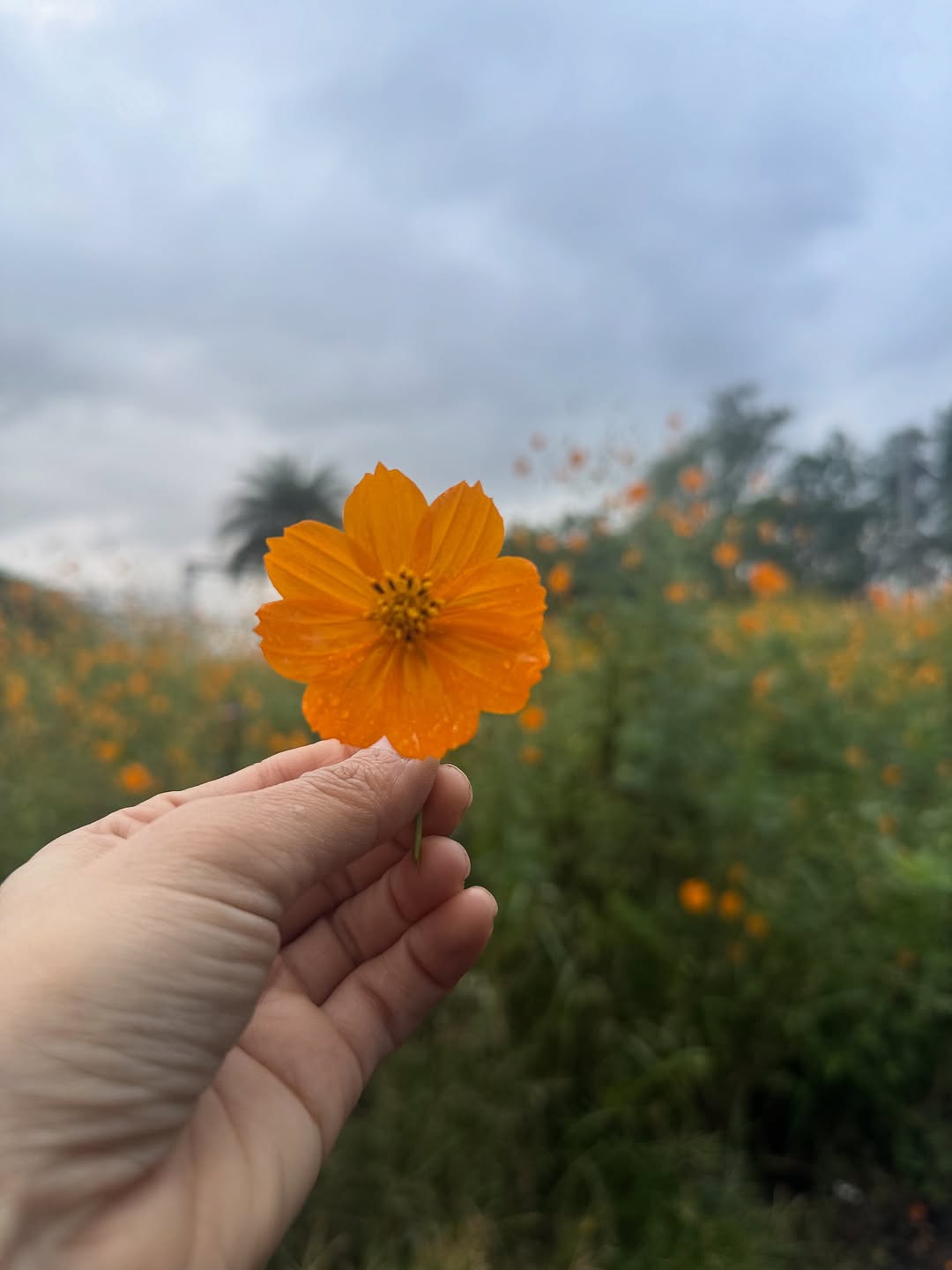Priya Bapat mountain girl